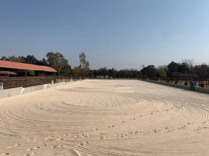 Dressage arena