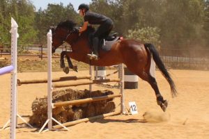 Events120333125_10158065204259221_1518126965839344623_n
