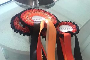 Events17992066_10155594669029221_5134308905525021193_n