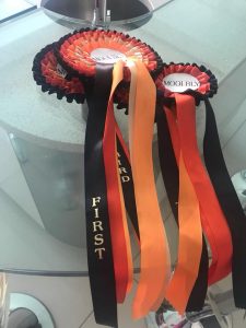 Events17992066_10155594669029221_5134308905525021193_n