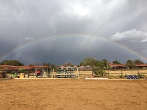 Jumping Arena